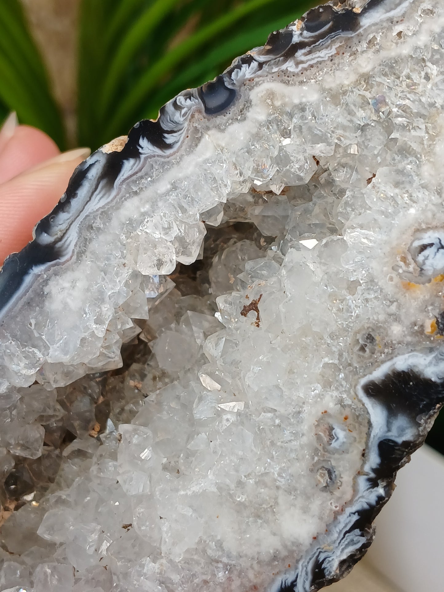 Achat Geode (Anschnitt)