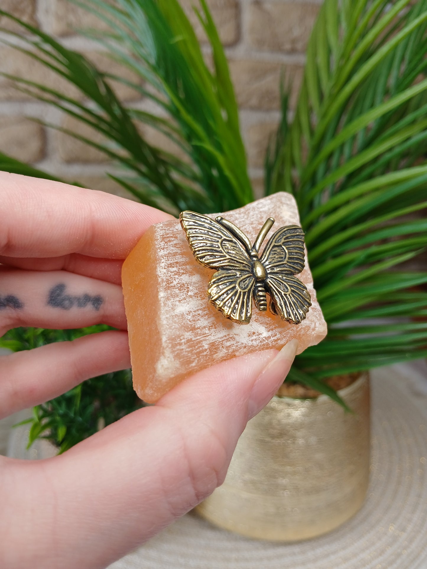 Schmetterling auf Orangenen Selenit