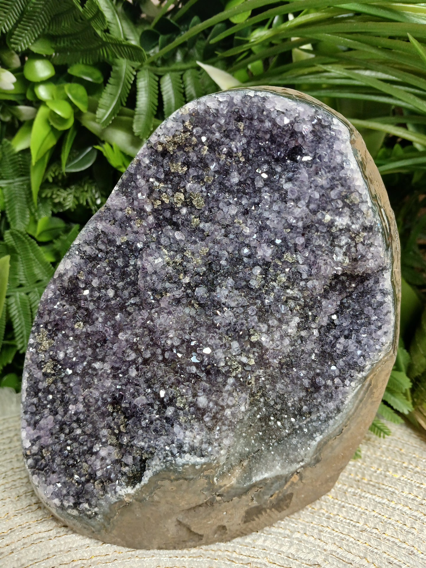 Amethyst Druse mit Pyrit