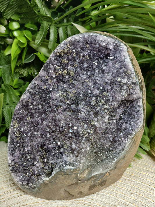 Amethyst Druse mit Pyrit