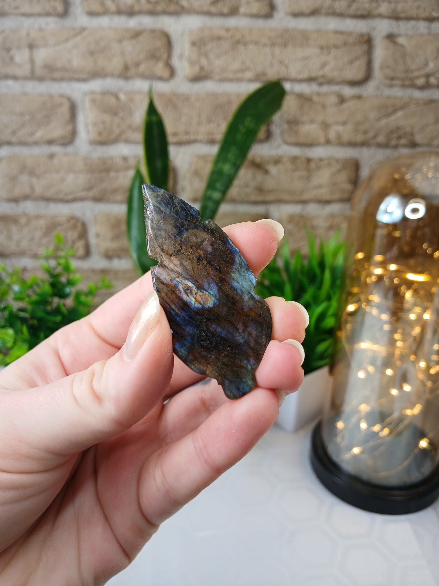 Labradorit Blatt