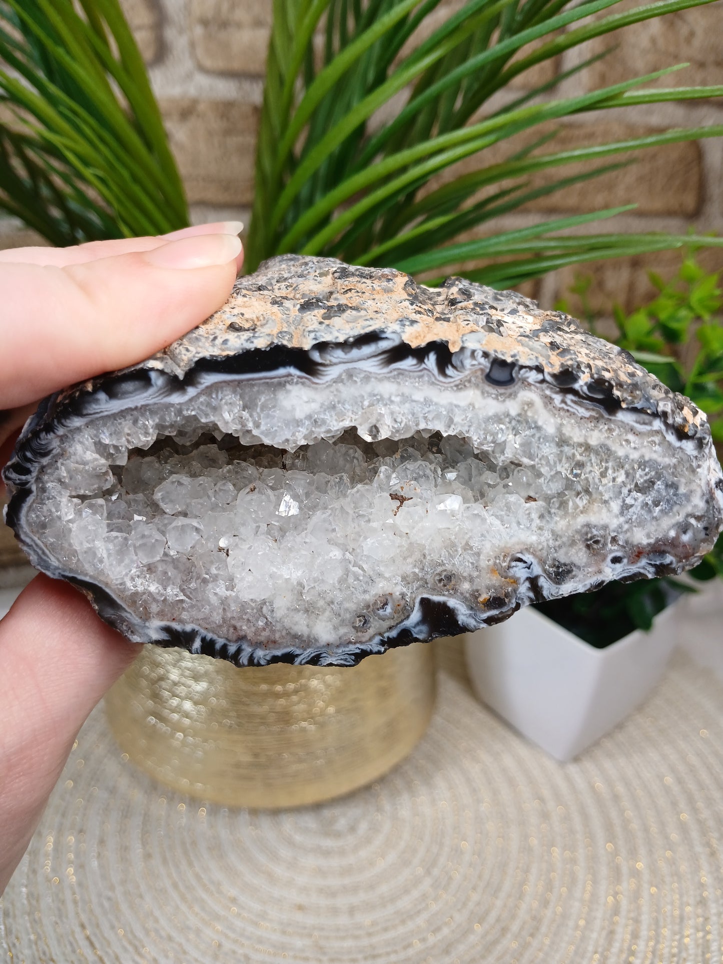 Achat Geode (Anschnitt)