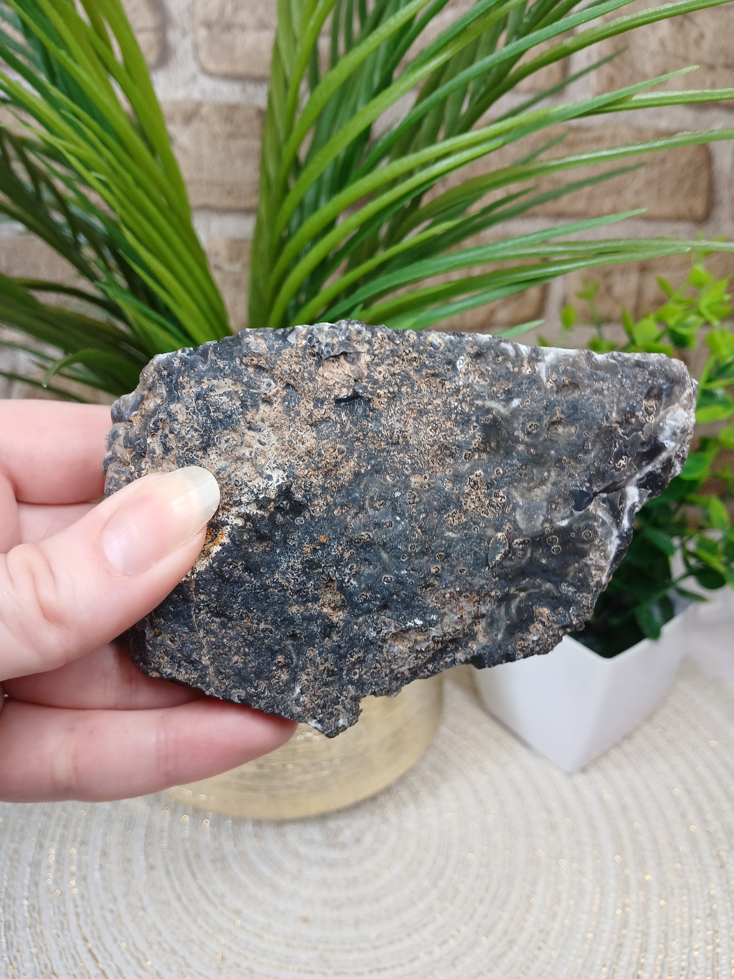 Achat Geode (Anschnitt)