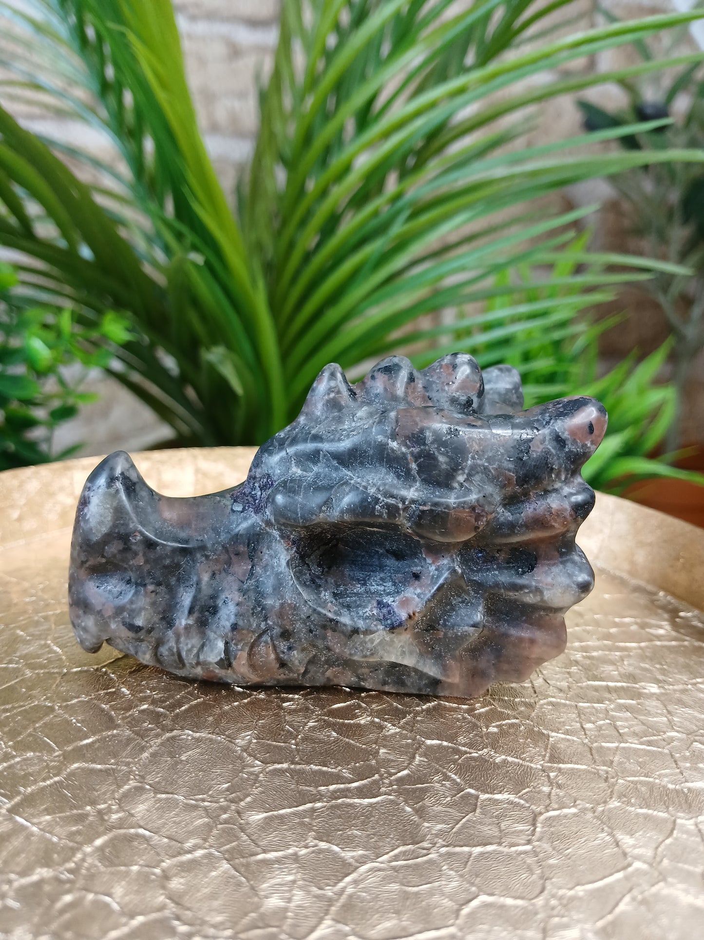 Yooperlite Drachenkopf