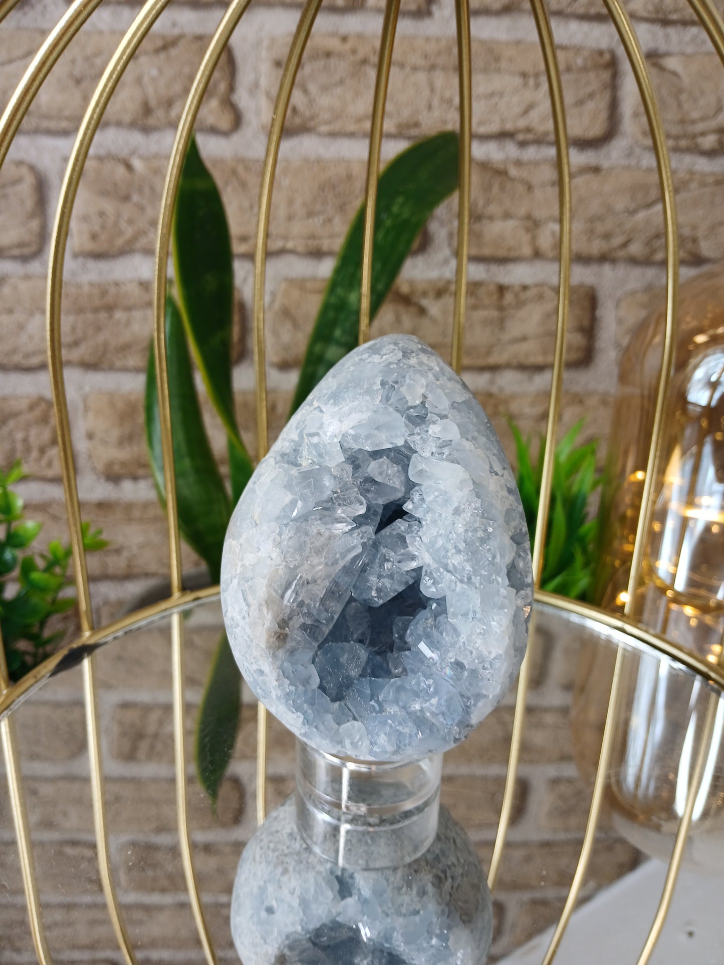 Coelestin Cluster "Ei"