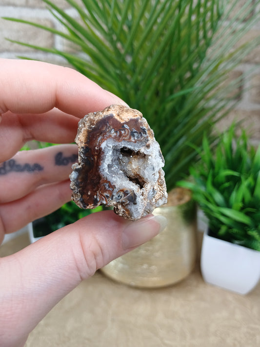 Achat Geode (Anschnitt)