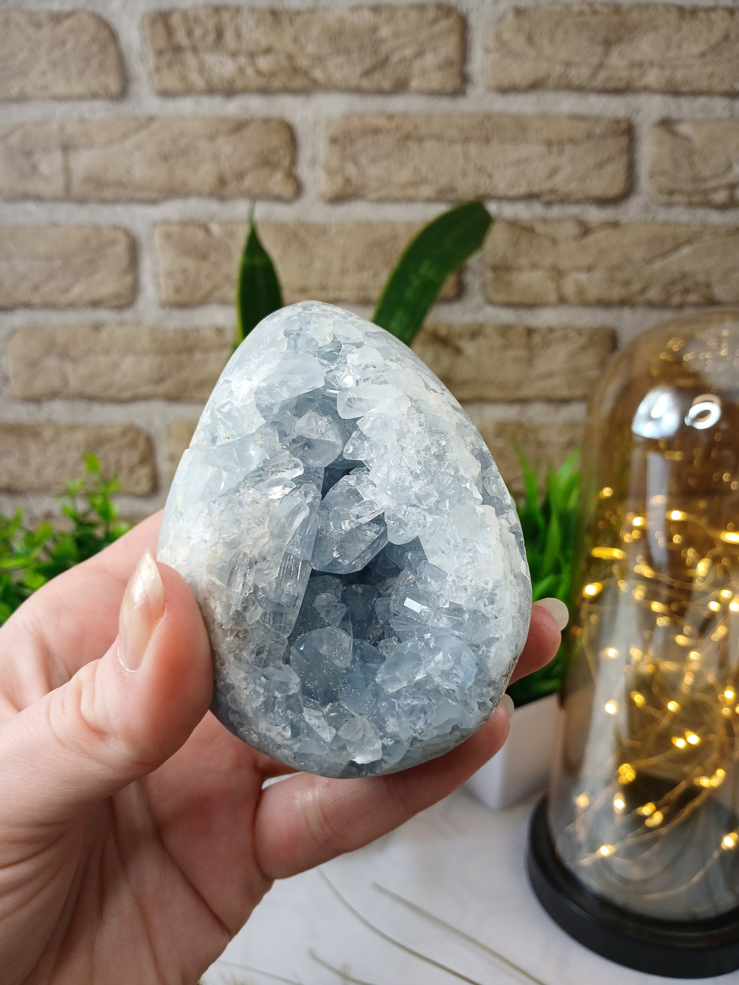 Coelestin Cluster "Ei"