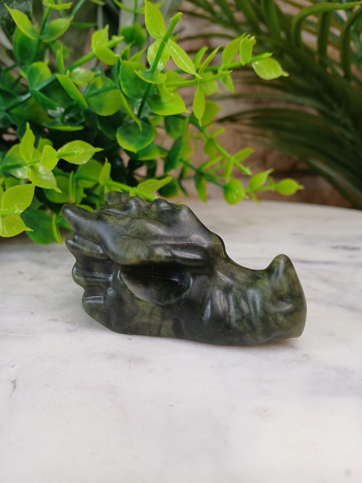 Serpentin Drache