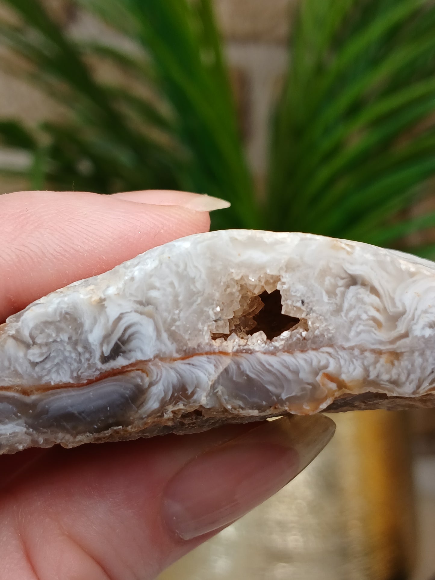 Achat Geode (Anschnitt)