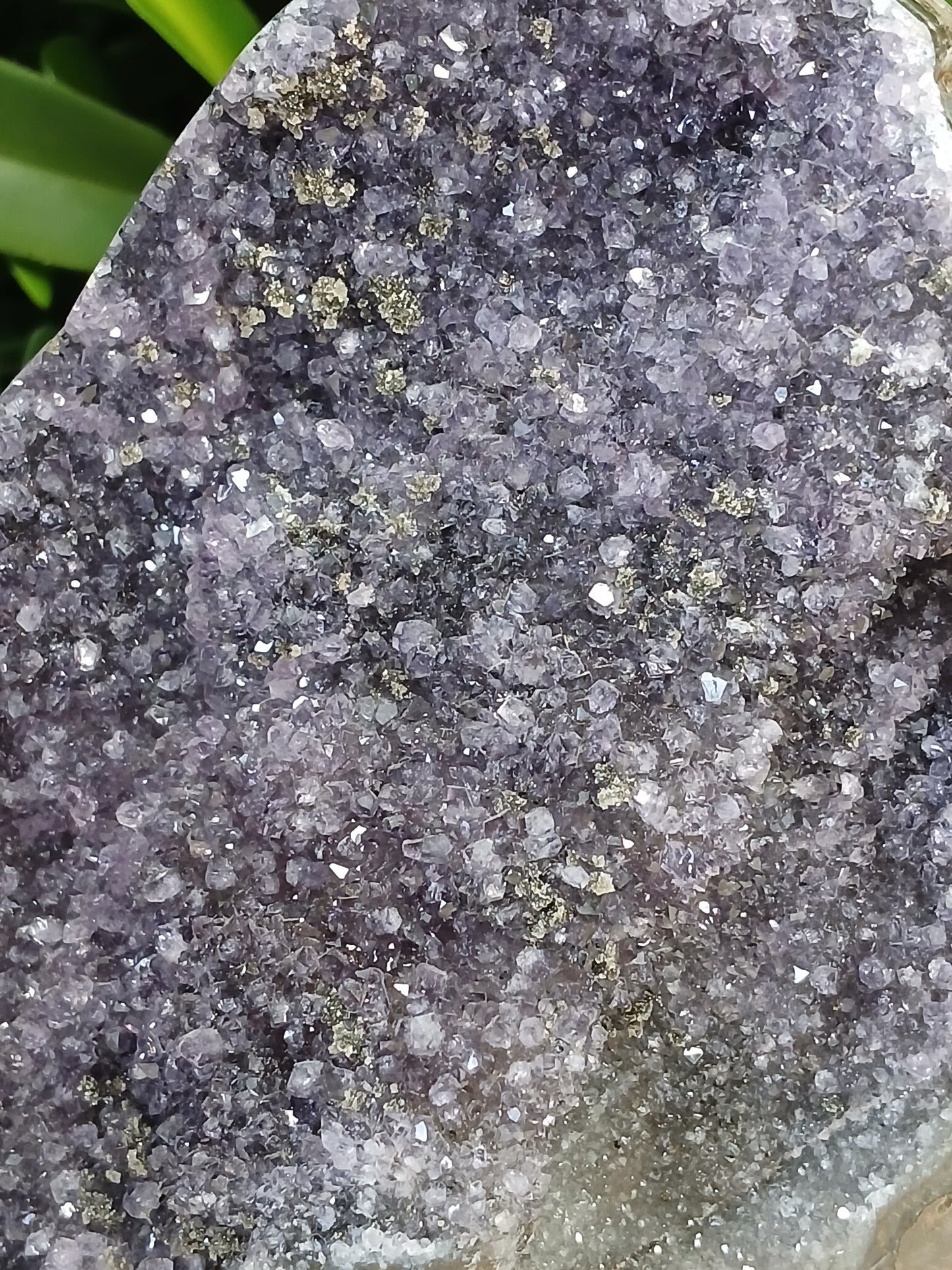 Amethyst Druse mit Pyrit