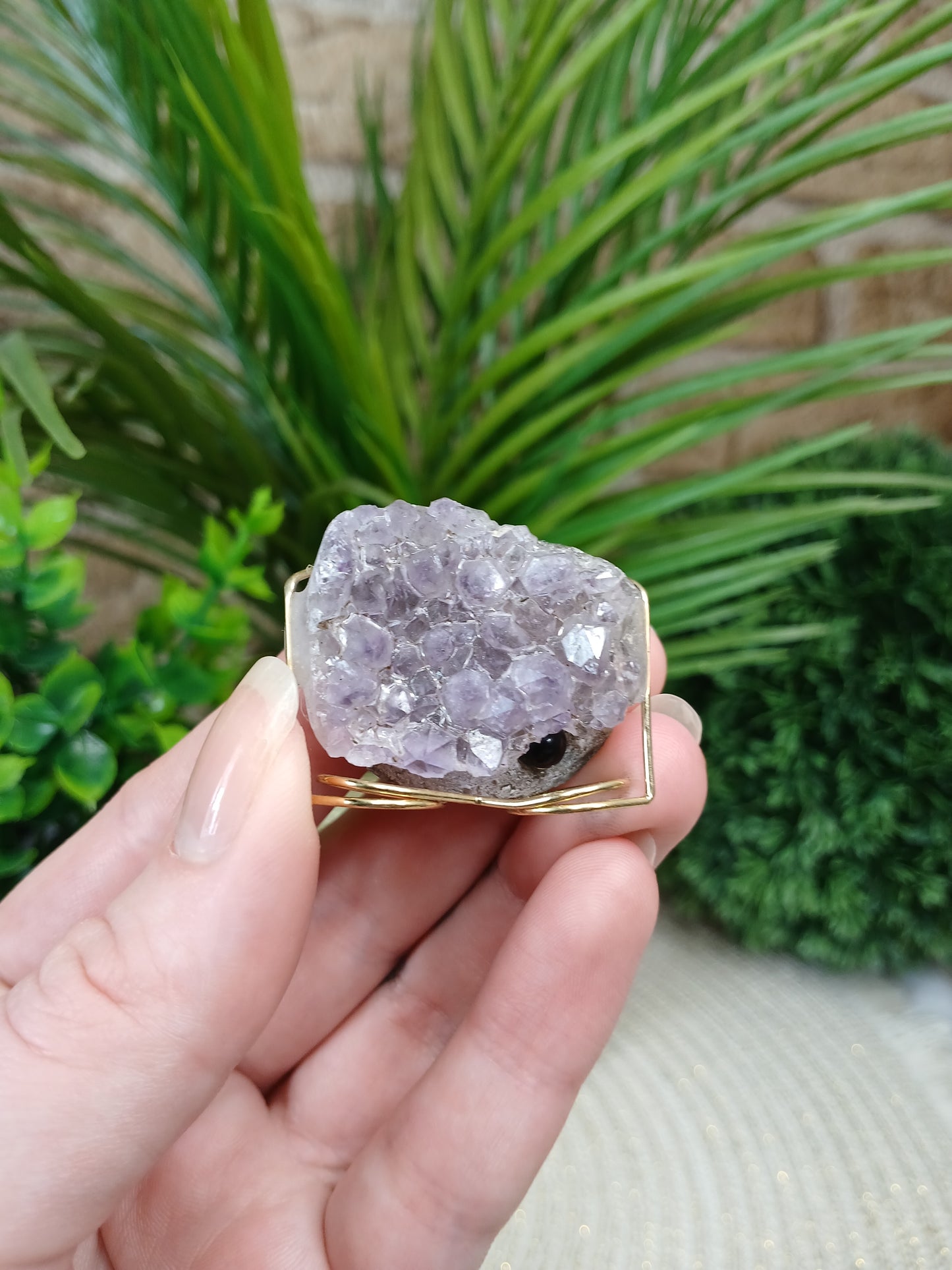 Amethyst Igel