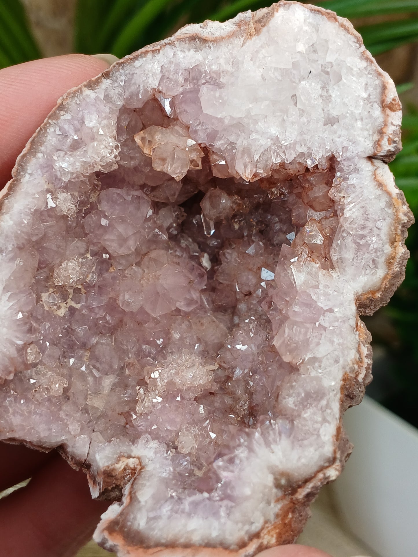 Pink Amethyst Geode