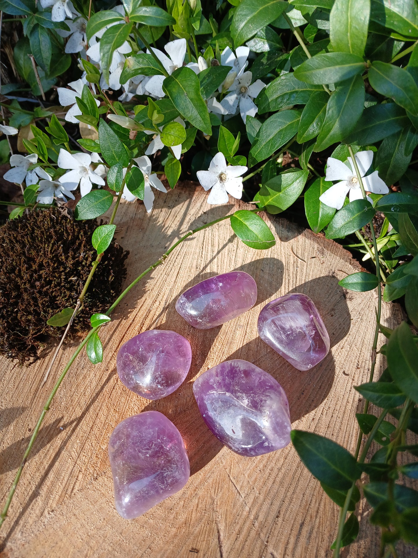 Amethyst A-Qualität 2 - 4 cm Trommelsteine