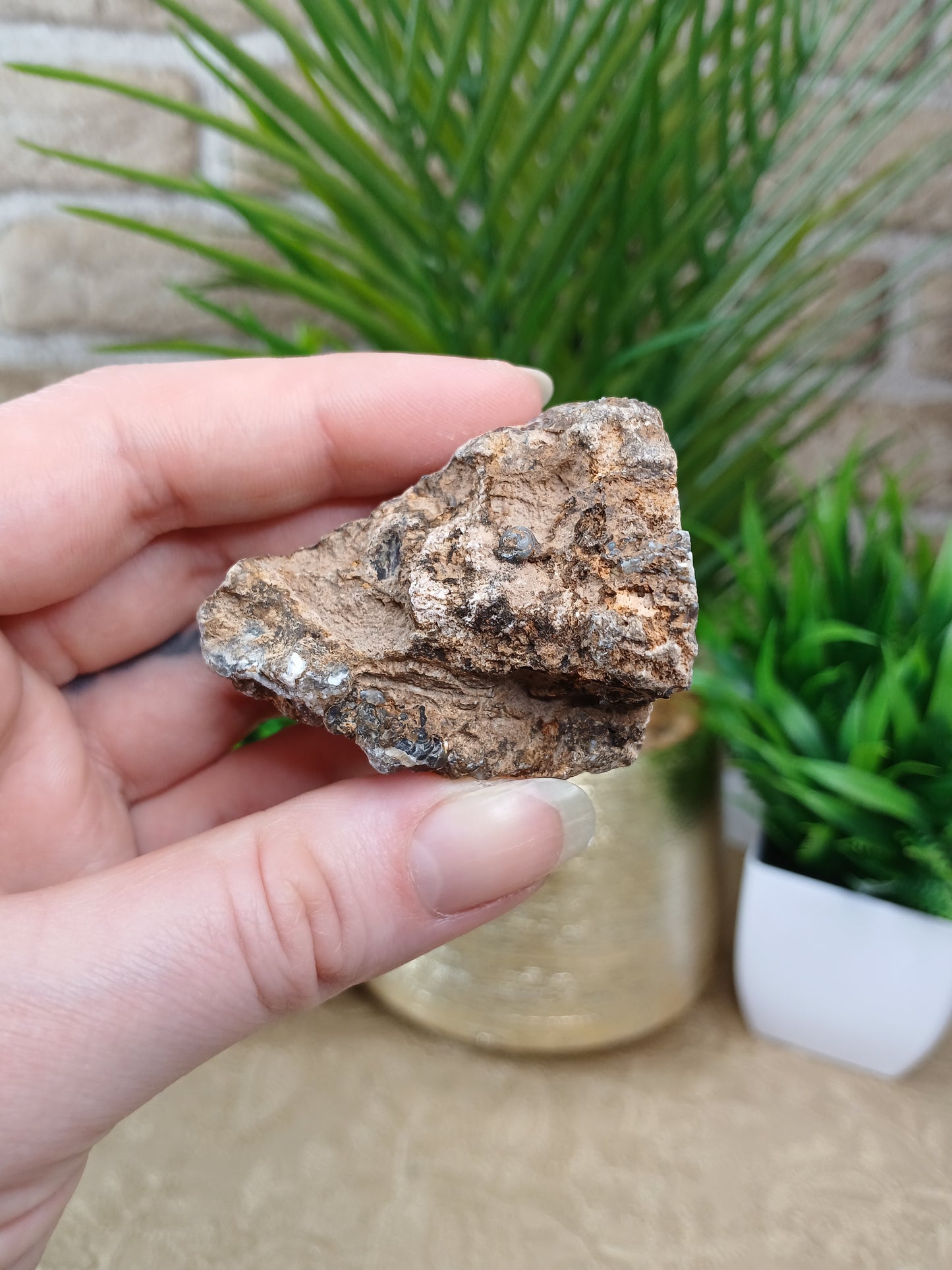Achat Geode (Anschnitt)