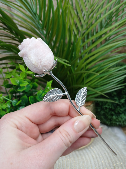 Rosa Opal Rose