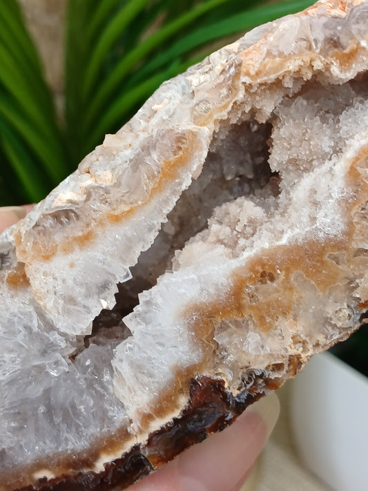 Achat Geode (Anschnitt)