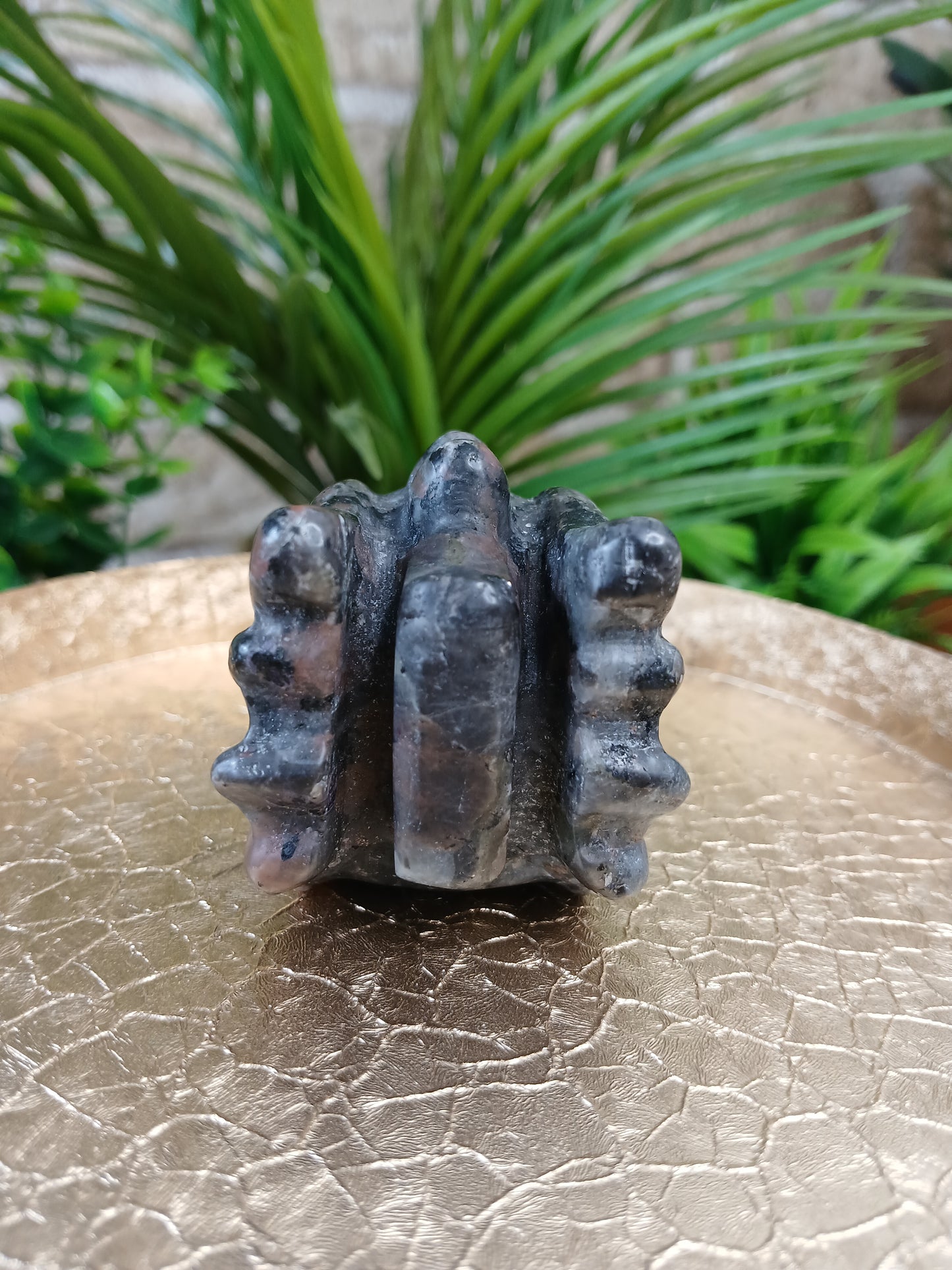 Yooperlite Drachenkopf