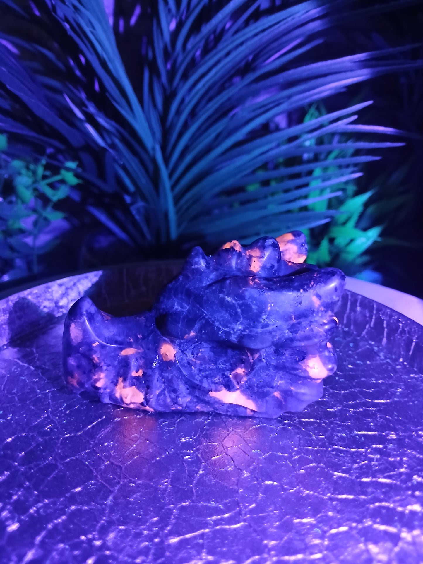 Yooperlite Drachenkopf