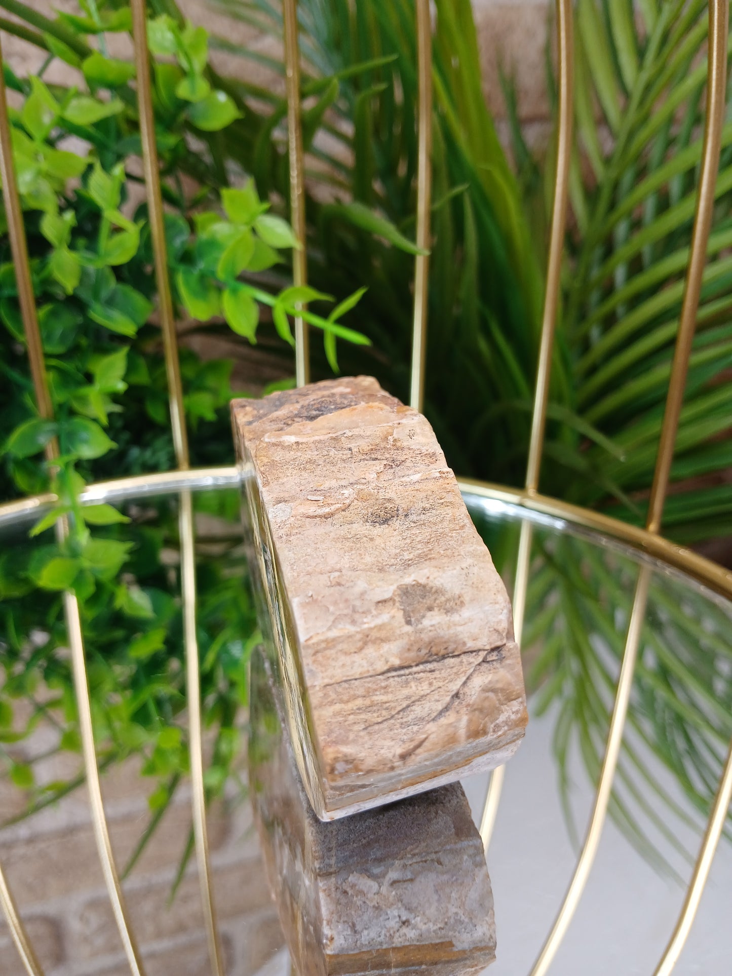 Versteinertes Holz